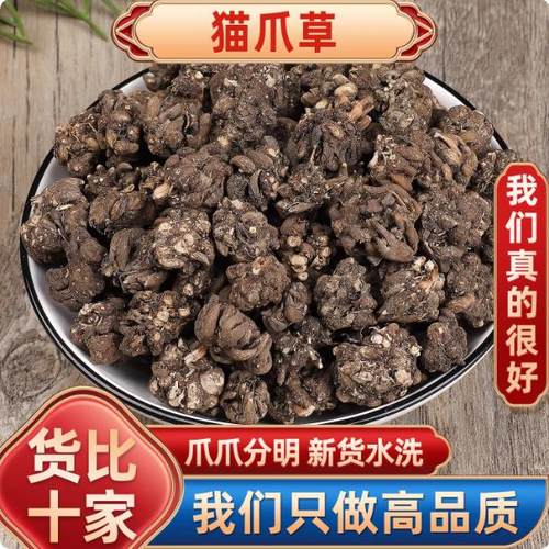 野生猫爪草中药材正品江西