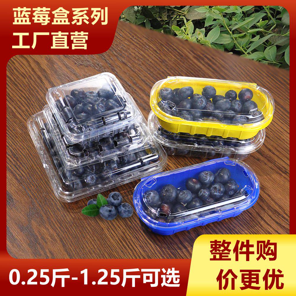蓝莓包装盒子125g塑料盒一斤装小号蓝莓打包盒500克空批发商用款