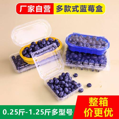 蓝莓包装盒商用批发125g