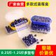 小号蓝莓打包盒空批发商用款 蓝莓包装 盒子125g200克塑料盒一斤装