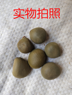 冷背 云石  云实 朝天子 药王子 大托叶云石 云实子 鸟不踏500克