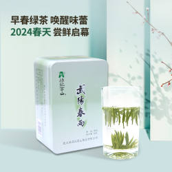 2025新茶上市 汤记高山武阳春雨针形绿茶明前特级茶叶50克 春茶