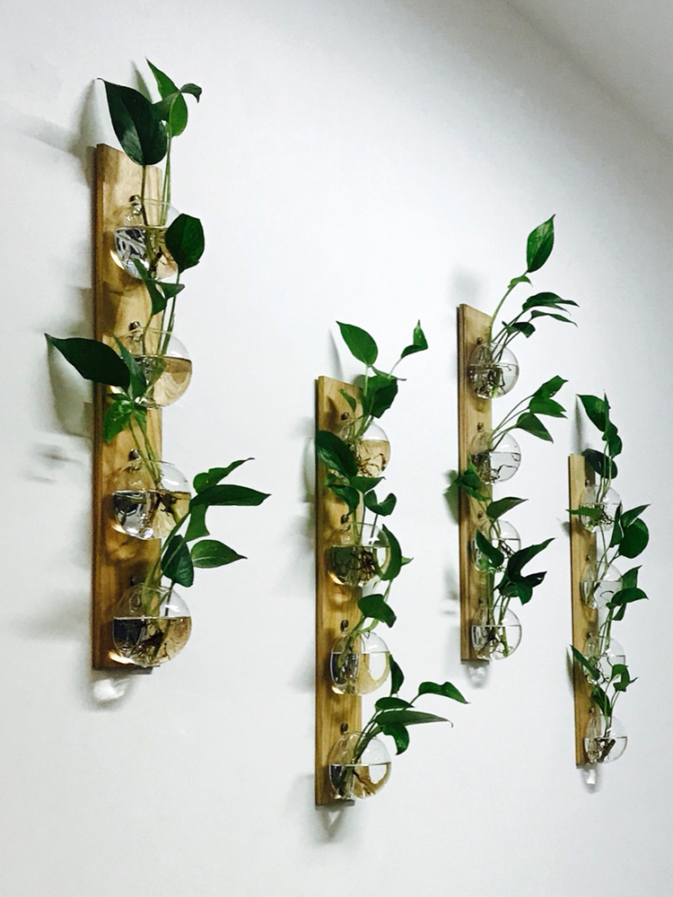 新品创意壁挂墙上木板水培植物玻璃花器工艺画家居背景墙装饰挂件图片