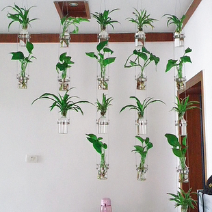 創(chuàng)意輕奢玻璃水培花瓶綠植隔斷家居幼兒園植物風(fēng)鈴墻上裝 飾品掛件