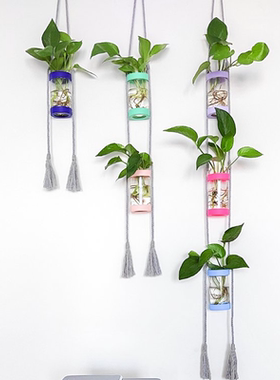 多巴胺风格塑料花瓶壁挂水培植物花器家居客厅幼儿园墙面装饰田园