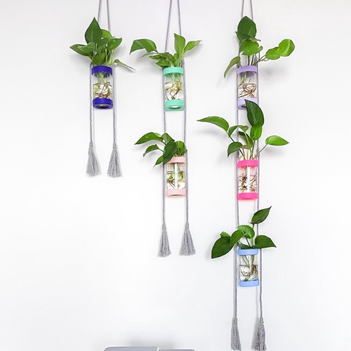 多巴胺风格塑料挂墙水培植物花瓶