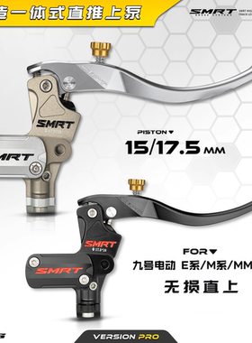 SMRT M08 直推上泵 AE4电自电摩AE5ipro 小牛NXT FXT 九号机械师2
