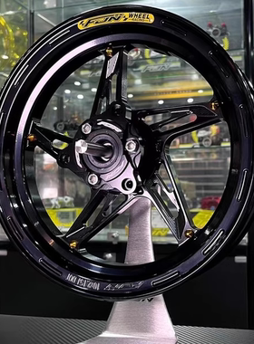 FJN幸运星新款铸造轮毂单碟双碟九号小牛极核通用12寸下沉法兰