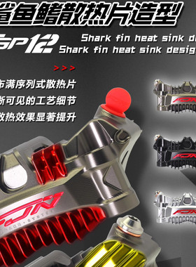 佛系车业FJN GP12大辐射卡钳小牛N1S U+电动九号E N劲战极核改装