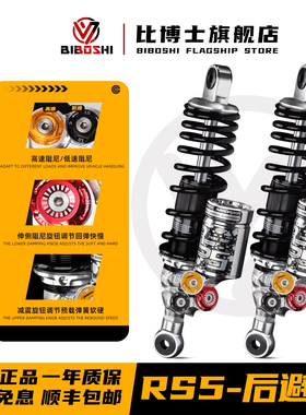 比博士RS5后减震适用极核AE4 AE5九号机械师2代E300PMK2 E150避震