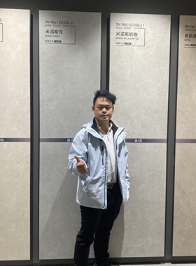 600x1200超细干粒哑光面连纹岩板地砖客厅岩板墙砖简约地板砖BJS