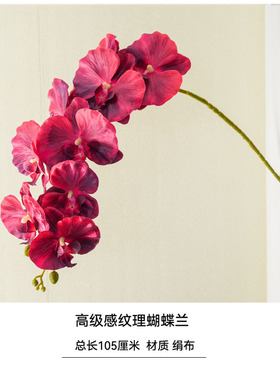 高级感逼真蝴蝶兰仿真花