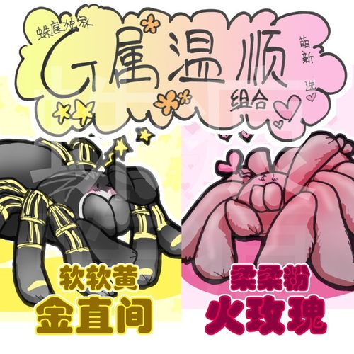 新手温顺品种组合 纯火玫瑰+巴西巨人金直间3-4l苗子
