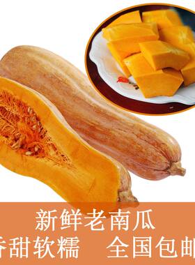 新鲜黄南瓜宝宝辅食农家粉糯老南瓜老品种长南瓜5到7斤一个包邮