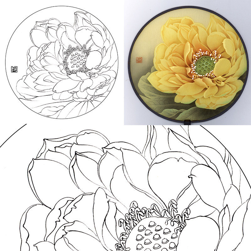 (有步骤图)工笔画打印白描底稿郑玲玲圆形团扇初学者临摹勾线练习