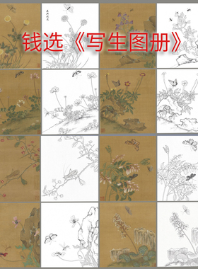 钱选写生图册国画花卉蝴蝶昆虫绘画临摹素材白描线稿