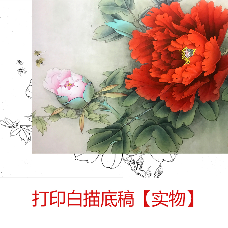 工笔画打印白描底稿素材花鸟小品牡丹初学者临摹线稿DIY装饰画