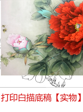 工笔画打印白描底稿素材花鸟小品牡丹初学者临摹线稿DIY装饰画