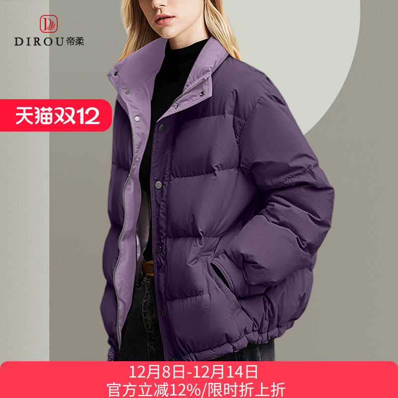 高级感时尚休闲立领洋气鸭绒服