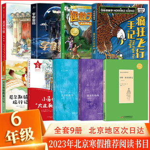 疯狂飞行手记 骑鹅旅行 北京 汤姆索亚历险记 杨梅 故乡 宇宙密码 天才原始人 春节 北京小孩 2023北京寒假读物书目六年级