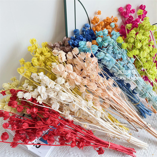 永生花风铃花风铃果灯笼花灯笼果干花花束家居软装花材婚庆用花