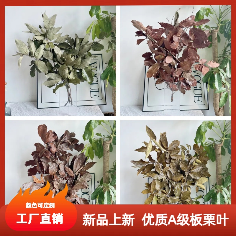 雨过天晴叶材干花永生花