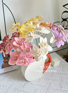 蝴蝶兰通草花永生花兰花家居软装婚庆花材办公室前台装饰手工干花