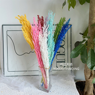 扁麦永生花永生扁麦轻奢小众稀有花材永生麦子插花轻奢风永生花材