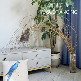 金丝柳条黄金柳插花花艺绿植柳编手工材料龙柳软装高级花材装饰花