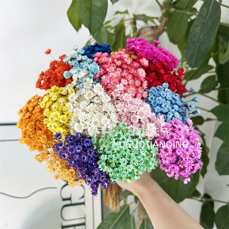 雨过天晴小星花桌面装饰永生花