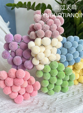 十年老店多色黄金球永生花材料创意装饰diy家居摆设真花干花花束