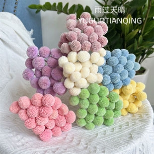 十年老店多色黄金球永生花材料创意装饰diy家居摆设真花干花花束