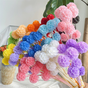 风车果干花永生风车果花束松虫果可爱果类干花家居软装花材圣诞花