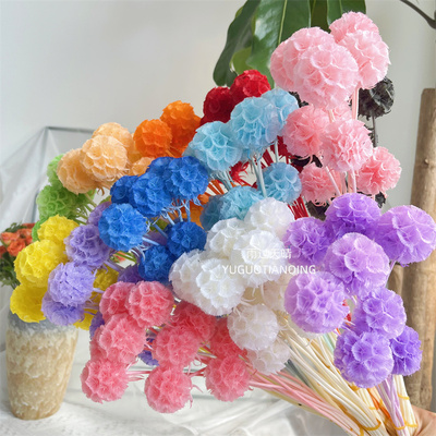 雨过天晴永生花家居装饰风车果