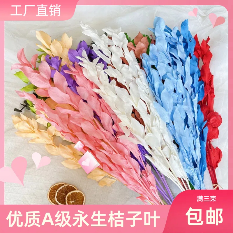永生花桔子叶百合竹梦幻婚礼花材天然干花家装饰DIY花艺客厅装饰