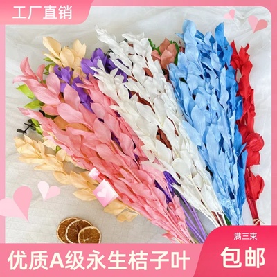 永生花桔子叶百合竹梦幻婚礼花材天然干花家装饰DIY花艺客厅装饰