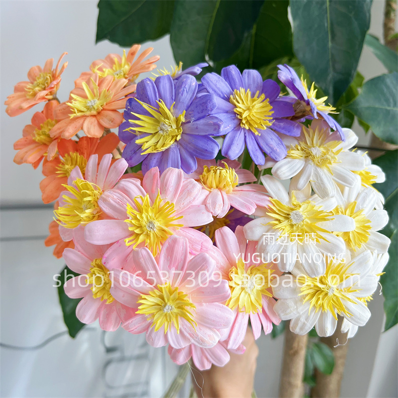 桃心瓜子花永生花家居软装插花