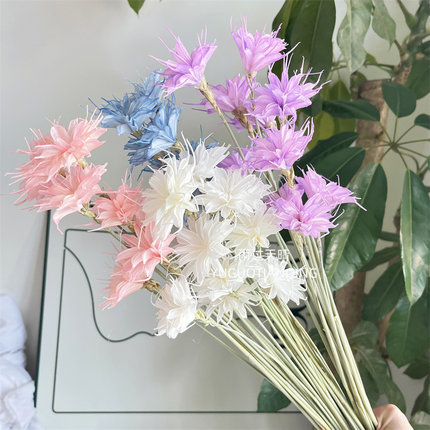 昙花永生昙花天然干花昙花家居软装花材花艺设计花材轻奢小众干花