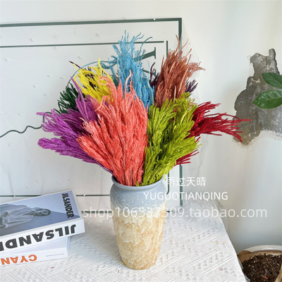 永生花石松家居装饰真花