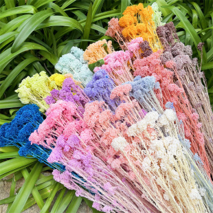 绝美纯色米花 农园米花少女粉 永生花DIY材料包 花材辅材配草头饰