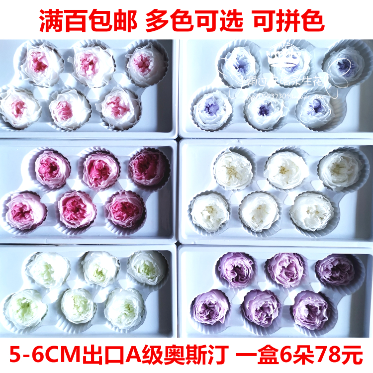 AAA出口级永生花奥斯汀玫瑰渐变