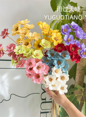 雨过天晴永生花银铃花干花