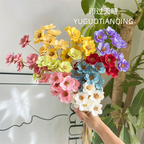 雨过天晴永生花银铃花干花