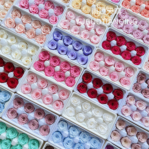 优质永生花玫瑰4-5cm整盒8朵装