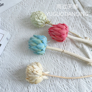 雪莲永生花莲花帝王公主花雪莲花佛系干花瓶插花家居装饰拍摄道具