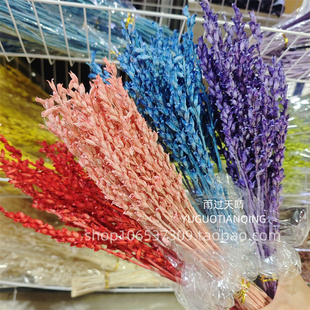 永生花天仙子家居软装插花轻奢小众永生花天仙子天然干花门店插花