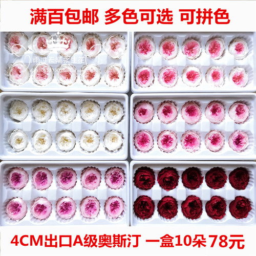 A级永生花奥斯汀中号3-4CM玫瑰永