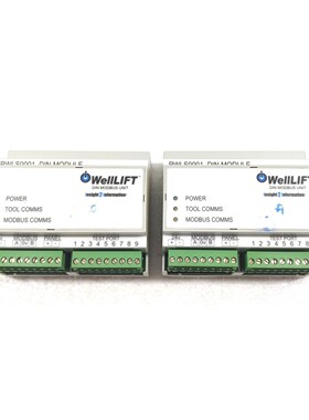 WELLLIFT PWLS DIN MODBUS 装置 PWLS0001(批量 2)