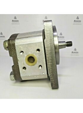 Pompe à Engrenage Hydraulique Bosch 0510 325 006 - POMPE TE