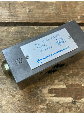 Integral Hydraulik REZ-6 412-1331-024-020 Doppel-Rückschlag